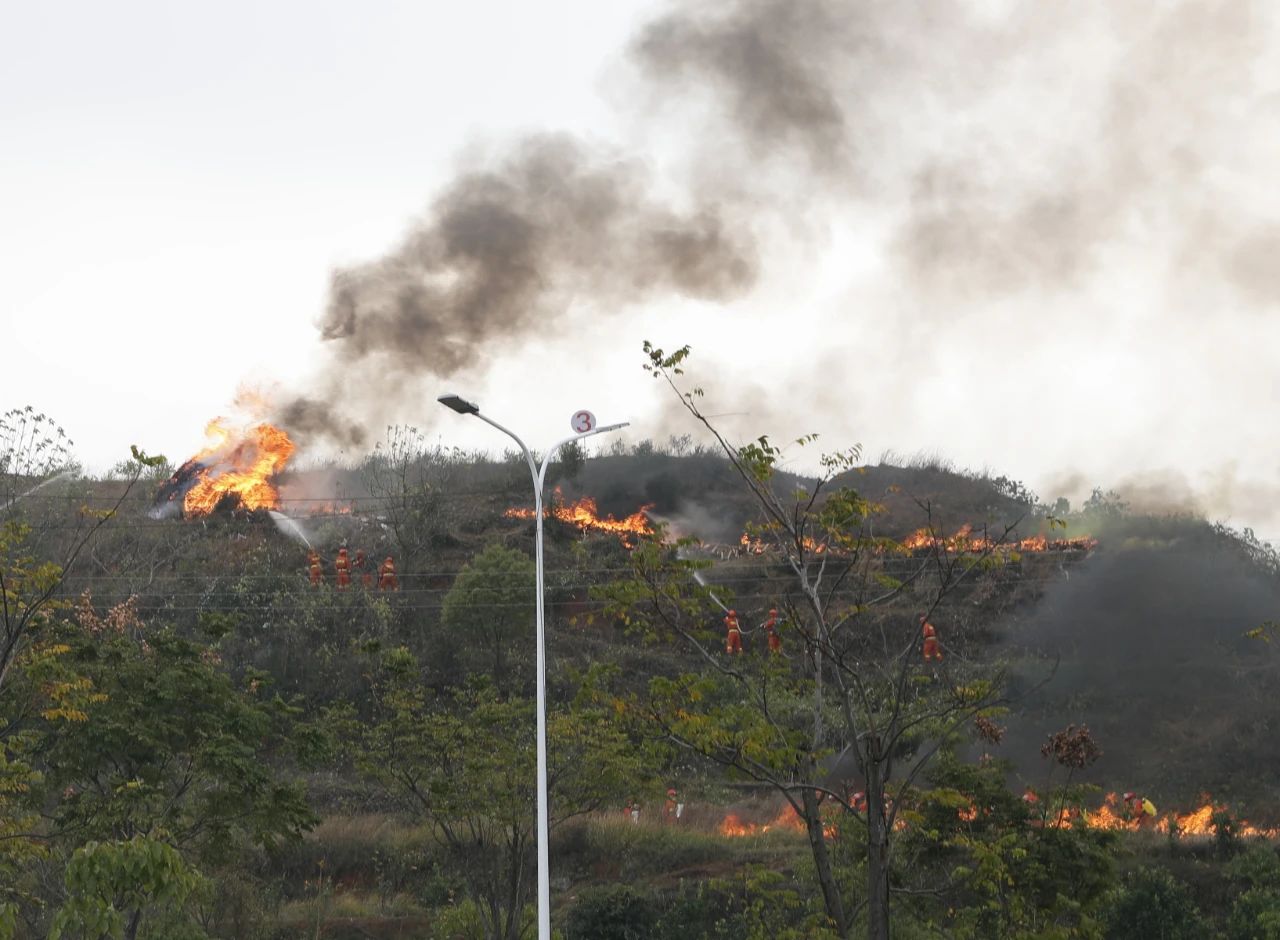 1673512611903322.jpg dd539581ebcc53ec7bbc4be68e7899dd.jpg